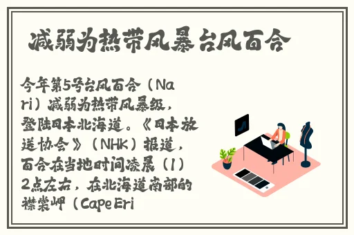 无人区一码二码三码四码